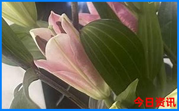 云南什么山是出名景点